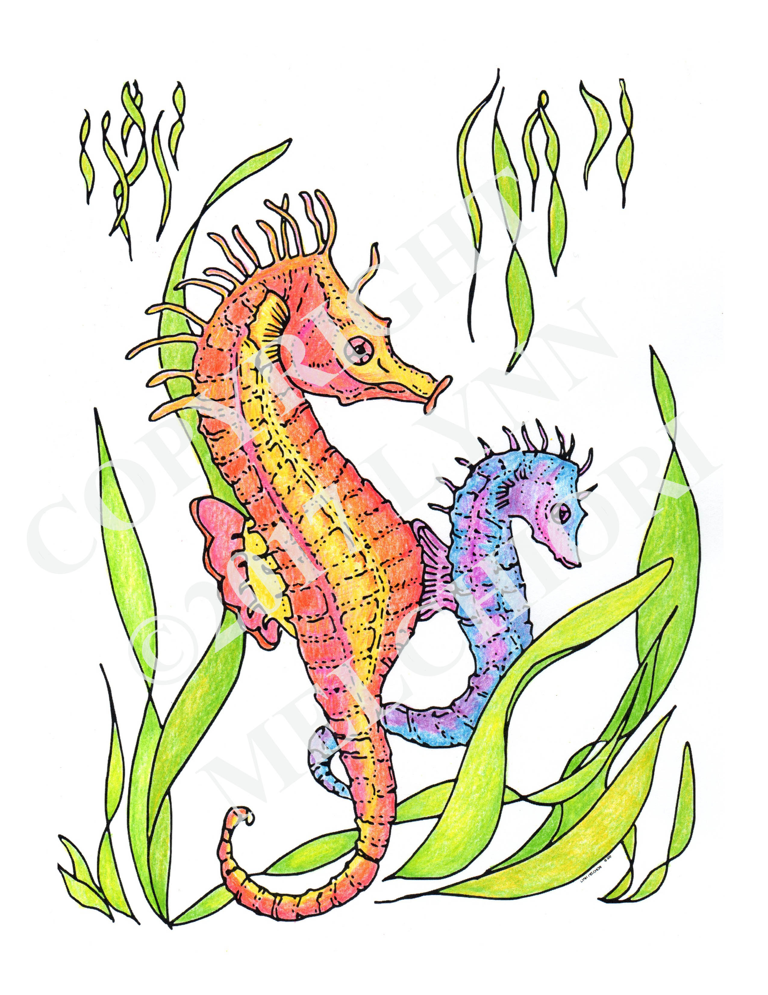 Drawing of 2 seahorses, colored in with colored pencils.  From the Sea & Shore coloring book.